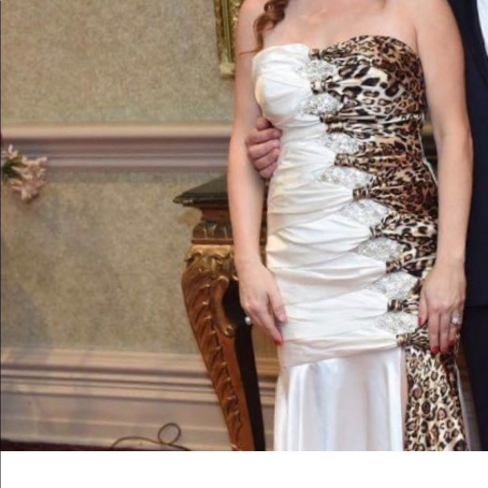 Terani dress
